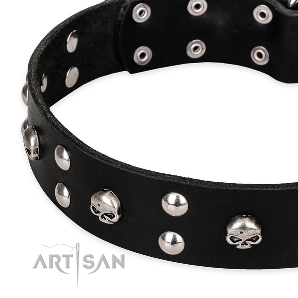 Daily use decorated dog collar of fine quality genuine leather