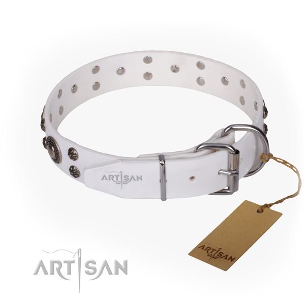 Stylish walking decorated dog collar of strong full grain natural leather