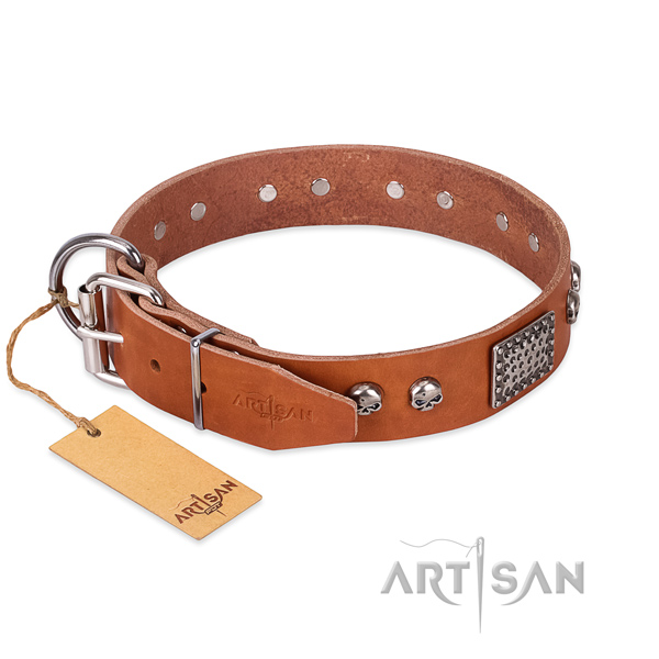 Reliable adornments on comfortable wearing dog collar