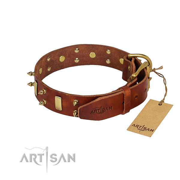 Everyday walking decorated dog collar of best quality leather