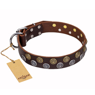 "Strong Shields" FDT Artisan leather German Shepherd collar with stylish decorations