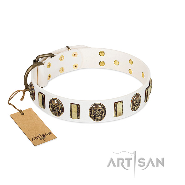 Incredible leather dog collar for handy use