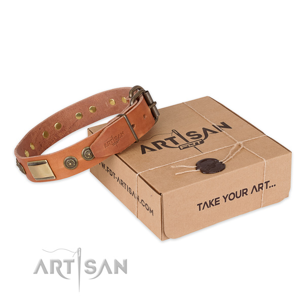 Durable fittings on leather dog collar for fancy walking