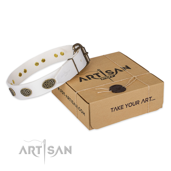 Corrosion proof traditional buckle on leather collar for your stylish dog