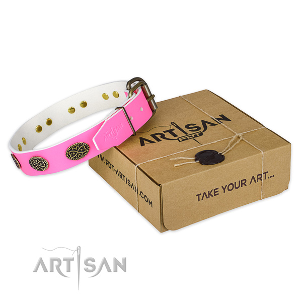 Corrosion proof embellishments on dog collar for comfy wearing