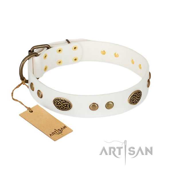 Corrosion resistant traditional buckle on natural leather dog collar for your canine