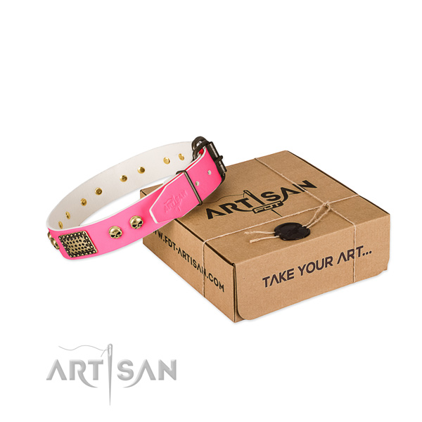 Durable adornments on dog collar for everyday walking