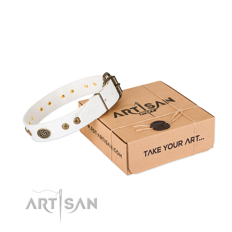 Corrosion proof decorations on full grain natural leather dog collar for your dog