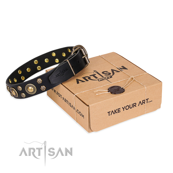 Everyday walking dog collar of top quality leather with decorations