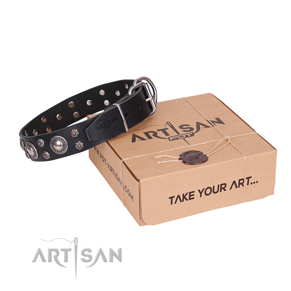 Comfortable wearing dog collar of finest quality natural leather with studs