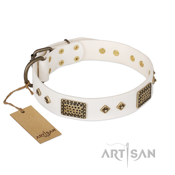 Extraordinary genuine leather dog collar for fancy walking