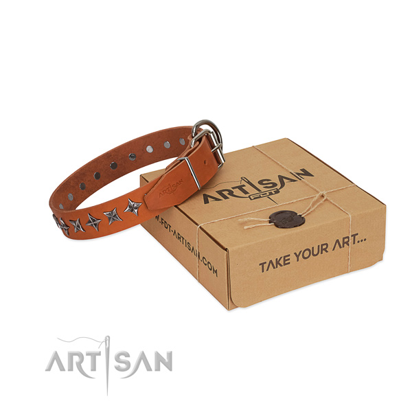 Comfy wearing dog collar of finest quality full grain genuine leather with decorations