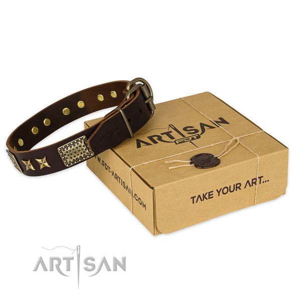 Corrosion resistant traditional buckle on natural genuine leather collar for your lovely doggie