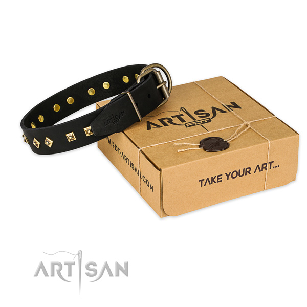 Corrosion proof traditional buckle on leather collar for your stylish dog
