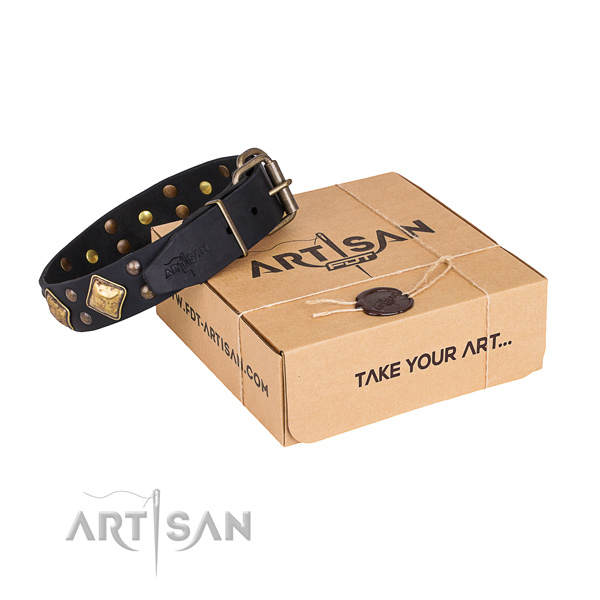 Walking dog collar with Exquisite strong embellishments