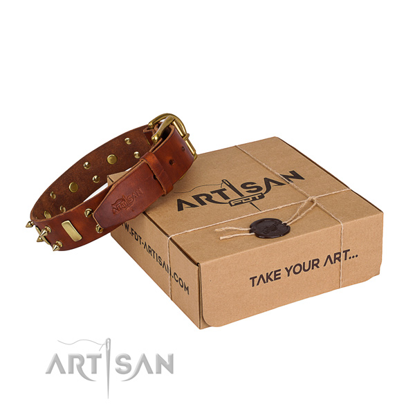 Daily use dog collar of fine quality full grain genuine leather with studs