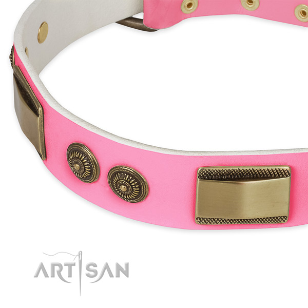 Full grain natural leather dog collar with adornments for stylish walking