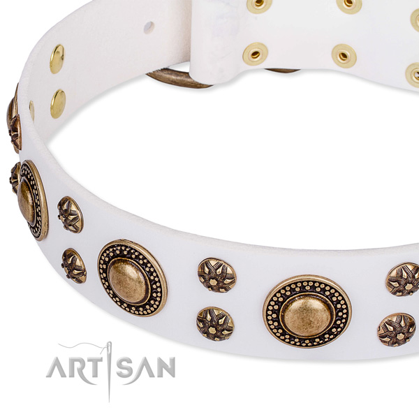 Comfortable wearing embellished dog collar of top notch leather