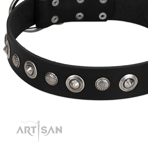 Trendy adorned dog collar of top quality natural leather