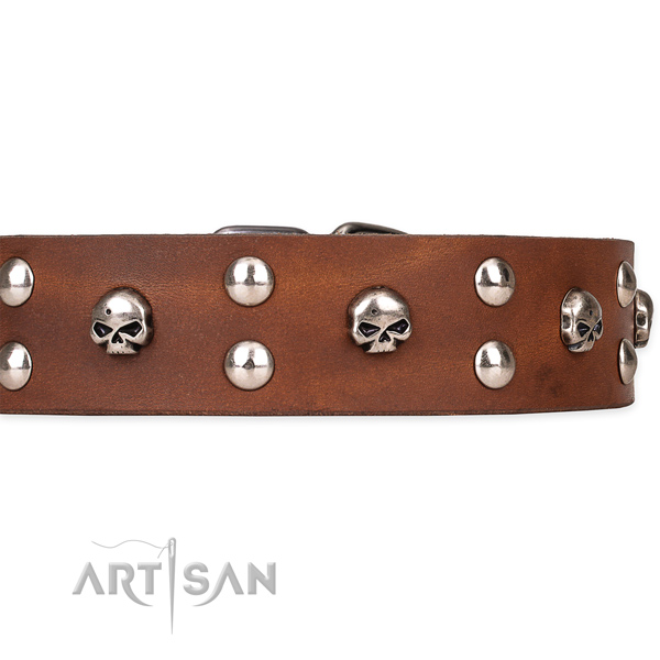 Stylish walking embellished dog collar of finest quality genuine leather