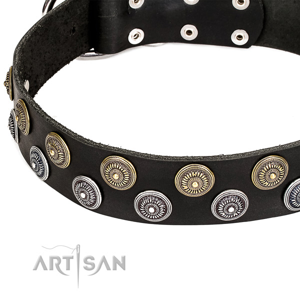 Comfy wearing decorated dog collar of reliable full grain genuine leather