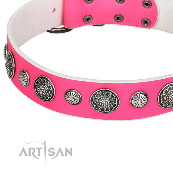 Full grain natural leather collar with rust-proof D-ring for your attractive four-legged friend