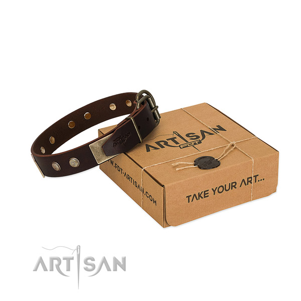 Corrosion resistant studs on dog collar for handy use