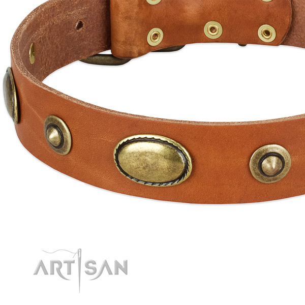 Durable buckle on natural leather dog collar for your pet