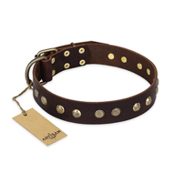 "Bronze Sheen" FDT Artisan Leather German Shepherd Collar with Brass-Plated Studs