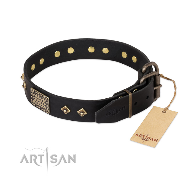 Genuine leather dog collar with rust-proof D-ring and embellishments