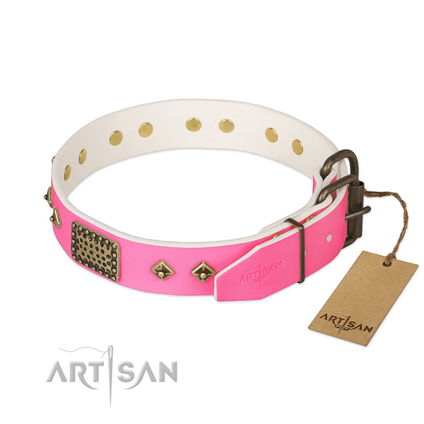 Durable fittings on walking dog collar