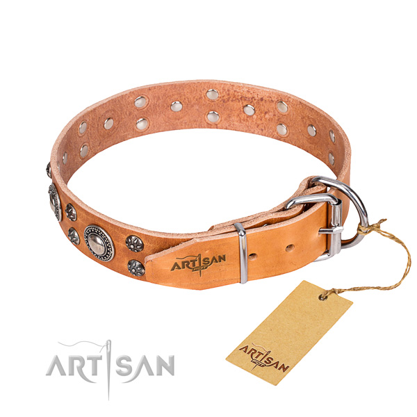 Everyday use decorated dog collar of best quality leather
