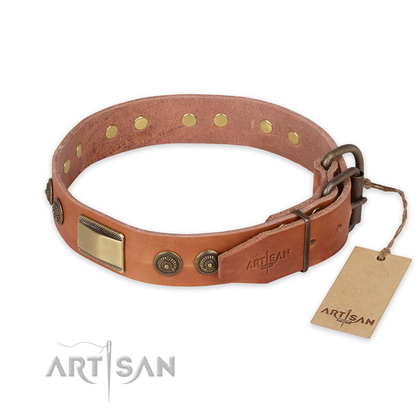 Strong buckle on full grain genuine leather collar for stylish walking your four-legged friend