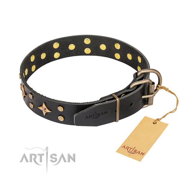 Daily walking adorned dog collar of high quality full grain leather