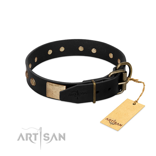 Corrosion resistant adornments on daily use dog collar