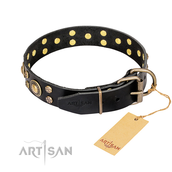 Everyday walking decorated dog collar of durable leather