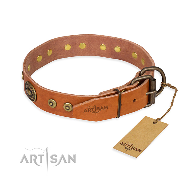 Leather dog collar made of quality material with strong studs