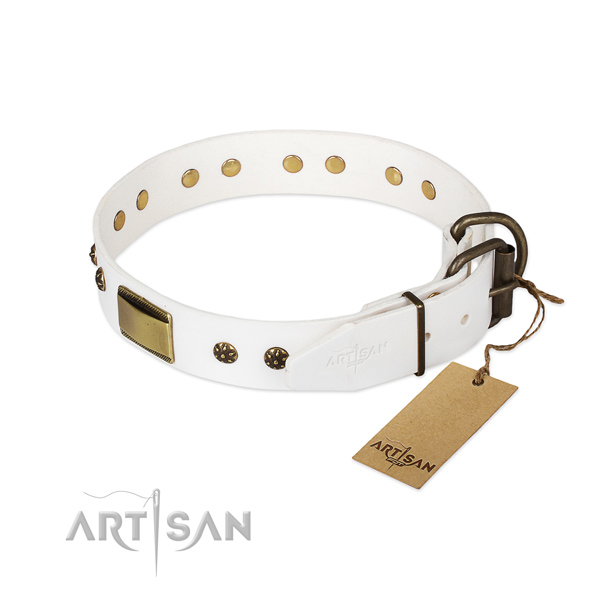 Leather dog collar with rust-proof fittings and embellishments