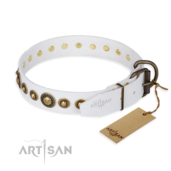 Reliable leather dog collar created for everyday walking