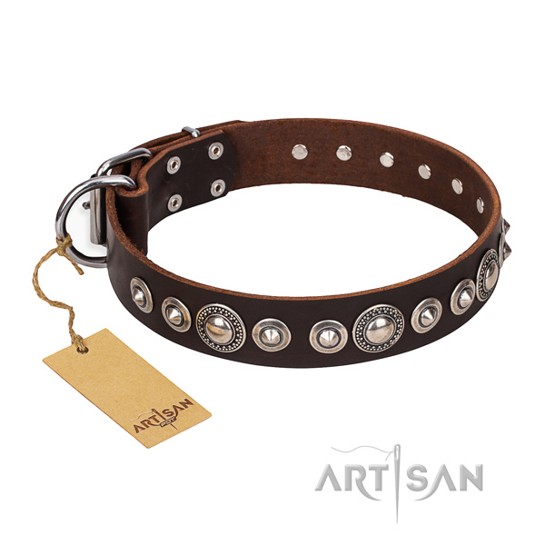Reliable studded dog collar of genuine leather