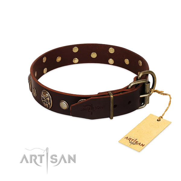 Rust-proof studs on everyday walking dog collar