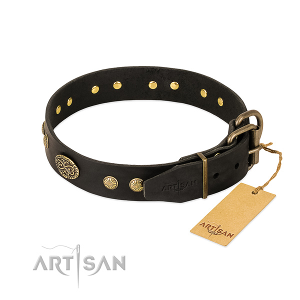 Reliable embellishments on leather dog collar for your dog