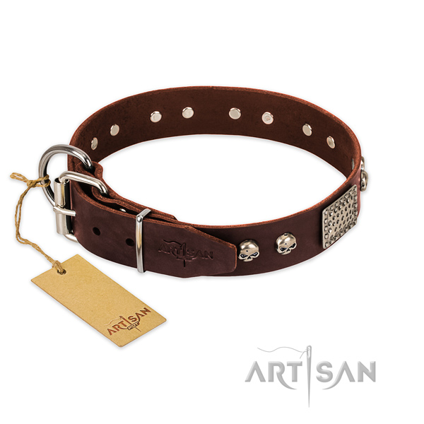 Corrosion proof studs on everyday use dog collar