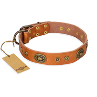 "Dandy Pet" FDT Artisan Handcrafted Tan Leather German Shepherd Collar