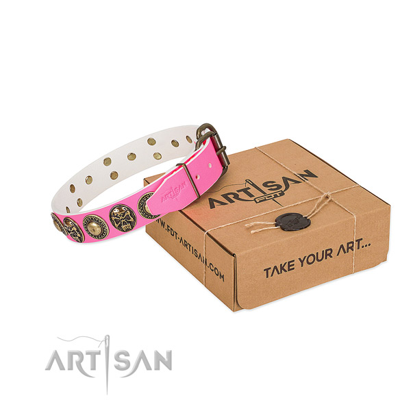Corrosion resistant hardware on dog collar for handy use