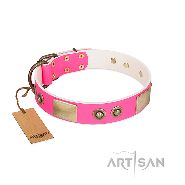 Corrosion resistant traditional buckle on full grain leather dog collar for your pet
