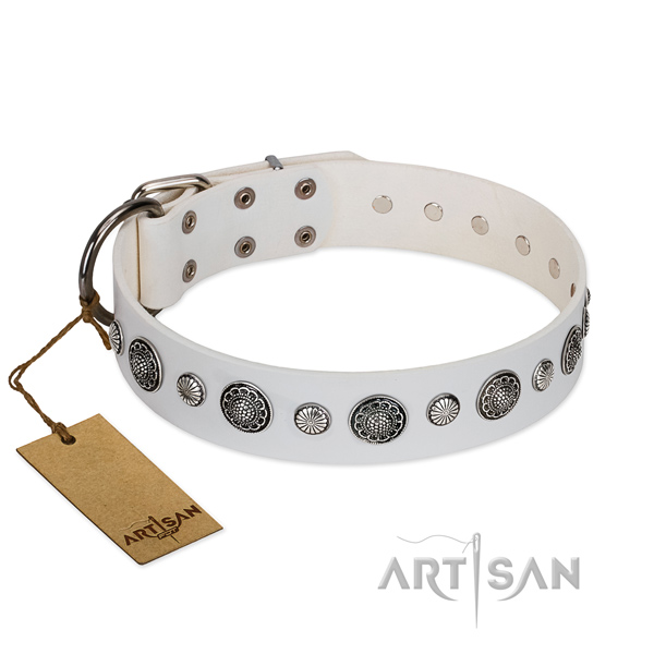Gentle to touch natural leather dog collar with rust resistant D-ring