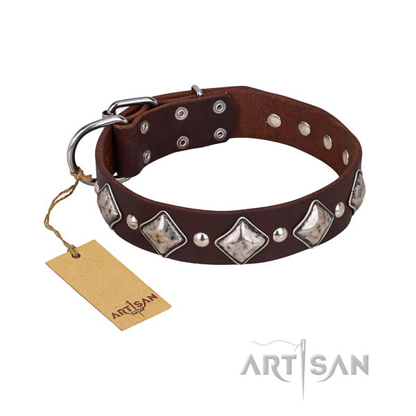 Everyday use dog collar of finest quality natural leather with embellishments
