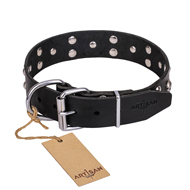 "Mystic Skulls" Decorated Leather German Shepherd Collar with Skulls and Studs