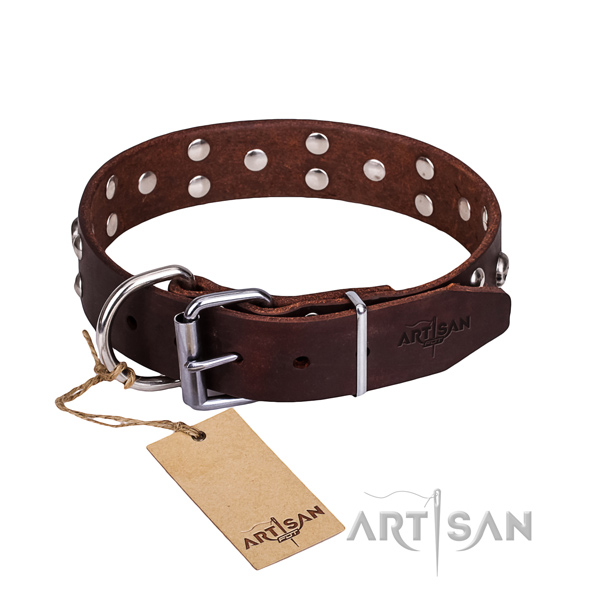 Daily walking dog collar of best quality full grain leather with embellishments